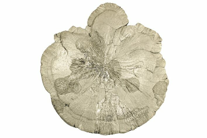 Pyrite Sun - Sparta, Illinois #315903